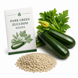 50 Dark Green Zucchini Seeds, Heirloom, Easy to Grow, Heirloom Summer Squash Vegetable Seeds, for Backyard Garden, Patios & Containers