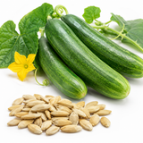 100 Straight Eight Cucumber Seeds, Heirloom, High-Yield Vegetable Seeds, for Fresh Salads, Pots, Containers & Outdoor Planting