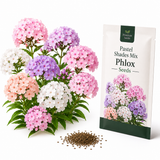 600 Pastel Shades Mix Phlox Seeds for Planting, Heirloom, Fast Growing, Sweet-Scented Annual Wildflower Seeds, Ideal for Outdoor Spaces