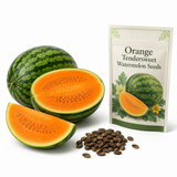 45 Orange Tendersweet Watermelon Seeds for Planting Outdoors, Non GMO, Fast Growing, High-Yield Sweet Crisp Orange Flesh Melon Seeds