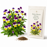 120 Helen Mount Johnny Jump Up Seeds, Non-GMO Viola cornuta Seeds, Cold Hardy Perennial, Ideal for Borders & Pots