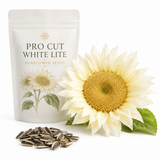 40 ProCut White Lite Sunflower Seeds, Non-GMO, Fast Growing, High-Yield Flower Seeds, Creamy White Elegant Blooms for Outdoor Planting