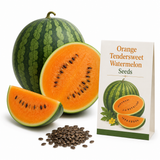 15 Orange Tendersweet Watermelon Seeds, Non-GMO Citrullus lanatus Seeds, Tropical Flavor, Ideal for Garden Planting