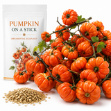 30 Pcs Pumpkin On A Stick Seeds for Planting, Non GMO, Ornamental Eggplant, Long Lasting, Ideal for Pots, Containers, and Gardens