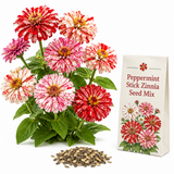 25 Peppermint Stick Zinnia Seeds Mix, Non GMO, Easy to Grow, High-Yielding Splattered Stripe Blooms for Eye-Catching, Ideal for Pots & Garden Borders