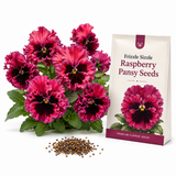 75 Frizzle Sizzle Pansy Seeds, Heirloom, Non-GMO Edible Flower Seeds, Charming Whimsical Ruffled Accent, Perfect Unique Seed Gift for Gardeners