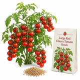 150 Large Red Cherry Tomato Seeds for Planting Outdoors, Easy to Grow, Fast Growing, High-Yielding Indeterminate Vine, Backyard Vegetable Seeds