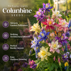 120 Pcs McKana Giant Columbine Seeds for Planting, Non GMO, Aquilegia hybrida Seeds, Perennial, Giant Multi-Color Flower for Shade Gardens and Yard Borders