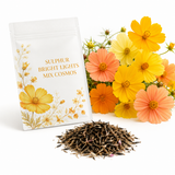 300 Bright Light Mix Sulphur Cosmos Seeds, Non-GMO Flower Seeds, Fast Growing, High-Yield, Orange Yellow Semi-Double Blooms for Borders, Patios & Landscaping