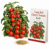 50 Large Red Cherry Tomato Seeds, Non-GMO Solanum Lycopersicum Seeds, Fast Growing, High-Yield Sweet Ruby Red Clusters, for Outdoor Planting