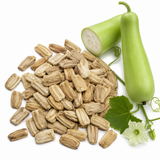 Bottle Gourd Seeds for Planting, 25 Pcs, Non GMO, High Yield Vegetable Seeds, Climbing Vine for Garden Trellis