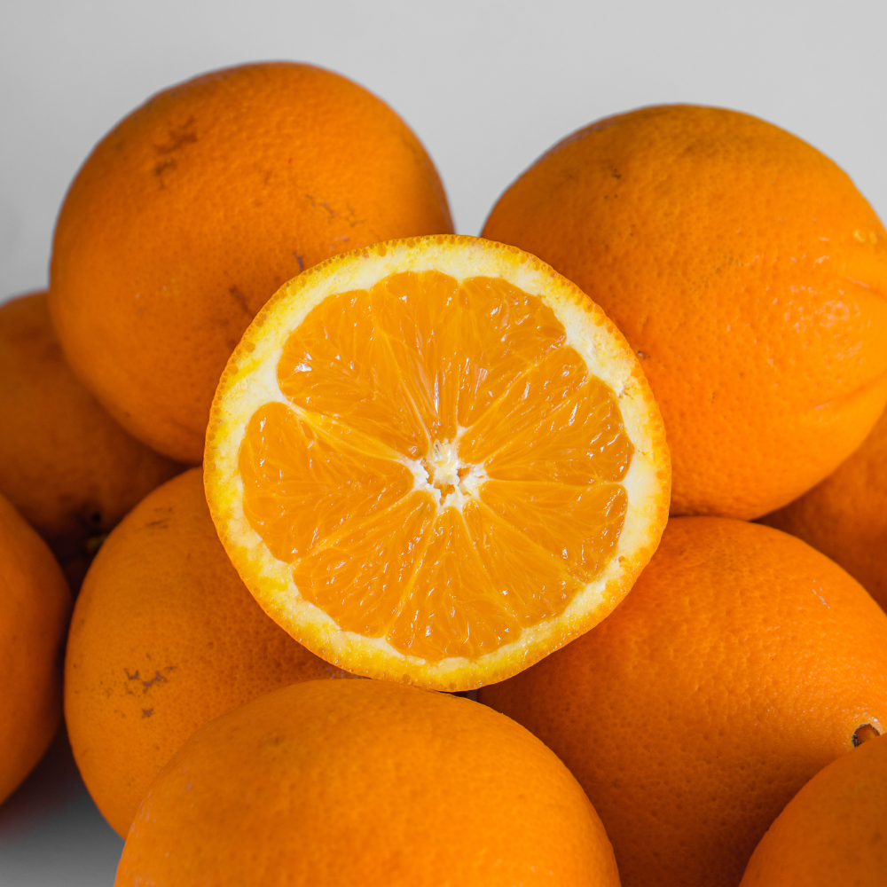 (No Ship to CA,HI,AK) Hamlin Orange Tree for Planting | 1 Gallon Live Citrus Plant | Easy-Grow Edible Fruit Tree for Home Gardens & Patios