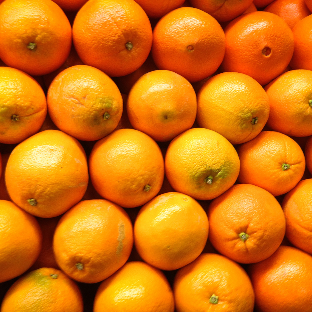 (No Ship to CA,HI,AK) Blood Oranges Fresh | Orange Trees Live Plants | 1 Gallon Live Potted Citrus Plant | Sweet Juicy Fruit Tree for Indoor & Outdoor Spaces