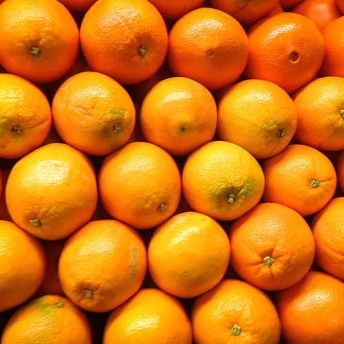 (No Ship to CA,HI,AK) Blood Oranges Fresh | Orange Trees Live Plants | 1 Gallon Live Potted Citrus Plant | Sweet Juicy Fruit Tree for Indoor & Outdoor Spaces