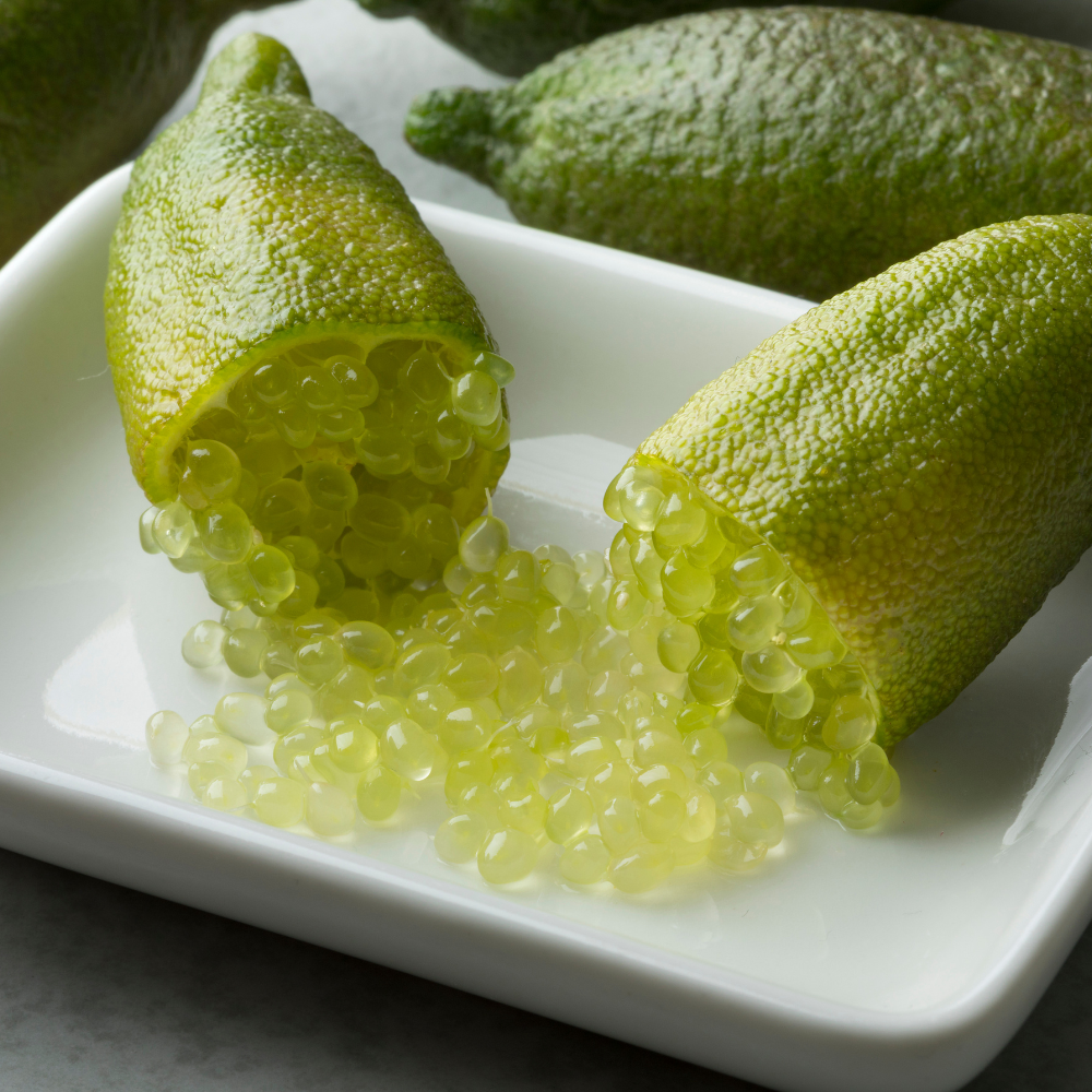 (No Ship to CA,HI,AK) Green Finger Limes Fresh Trees | 1 Gallon Live Potted Citrus Plant | Unique, Juicy Citrus Trees for Indoor & Outdoor Spaces | No Ship to CA,HI,AK