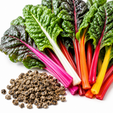 150 Pcs Rainbow Swiss Chard Seeds for Planting, Non GMO, Heirloom, Easy to Grow, Delicious Tender Greens, Ideal for Raised Beds, Containers & Gardens