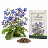 200 Heirloom Borage Seeds for Planting, Easy Care, Borago Officinalis Seeds, Fast Growing, High-Yield Edible Cucumber-Flavored Blue Starflowers, Ideal for Garden Borders