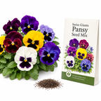 200 Pansy Swiss Giants Seed Mix, Non-GMO, Heirloom Seeds, Fast Growing, Large Colorful Facing Flowers for Outdoor Spaces