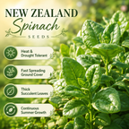 150 Pcs New Zealand Spinach Seeds, Non GMO, Heirloom, Easy Care Vegetable Gardening Seeds, for Raised Beds, Pots & Containers
