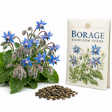 100 Borage Seeds, Non GMO, Heirloom, Annual, High-Yielding Edible Blue Starflower Culinary Herb for Gardens