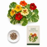 25 Variegated Alaska Mix Seeds (Tropaeolum nanum), Non GMO, Heirloom Edible Flower & Vegetable Seeds, Colorful Summer Blooms with Marbled Foliage, for Outdoor Planting