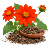100 Pcs Mexican Sunflower Seeds for Planting, Non-GMO Tithonia Seeds, Fast Growing, Tall Vibrant Orange-Red Flowers for Outdoor Spaces