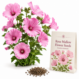 150 Rose Mallow Flower Seeds, Easy to Grow Lavatera trimestris, High Yield, Charming Romantic Hibiscus-Like Accent, Perfect Unique Seed Gift for Gardeners