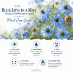 Blue Love In A Mist, 300 Nigella damascena Flower Seeds, Non-GMO, Annual High-Yield Soft Blue Misty Blooms, Ideal for Window Boxes, Borders & Gardens