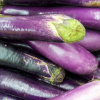 150 Purple Shine Eggplant Seeds, Non-GMO, Heirlooms, Easy to Grow Vegetable Seeds for Backyard Gardens
