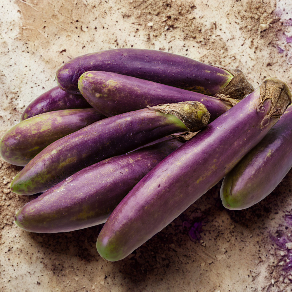 150 Purple Shine Eggplant Seeds, Non-GMO, Heirlooms, Easy to Grow Vegetable Seeds for Backyard Gardens