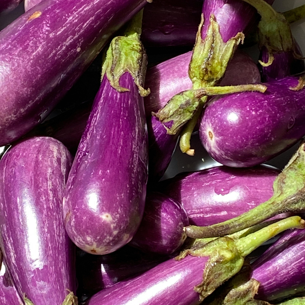 150 Purple Shine Eggplant Seeds, Non-GMO, Heirlooms, Easy to Grow Vegetable Seeds for Backyard Gardens