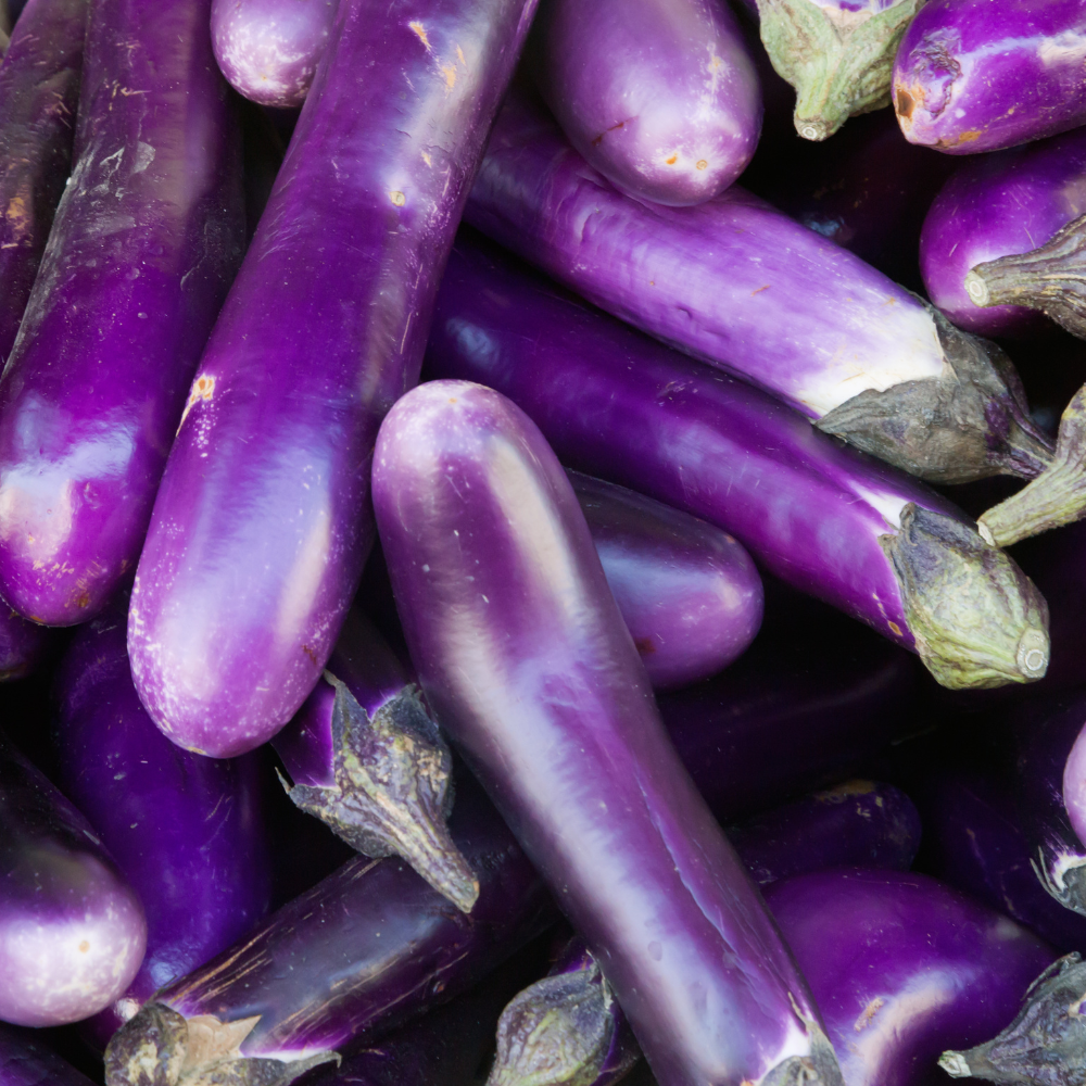 150 Purple Shine Eggplant Seeds, Non-GMO, Heirlooms, Easy to Grow Vegetable Seeds for Backyard Gardens