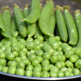 40 Super Sugar Snap Pea Seeds, Non-GMO, Fast Growing, Edible Vegetable Seeds for Home Gardens