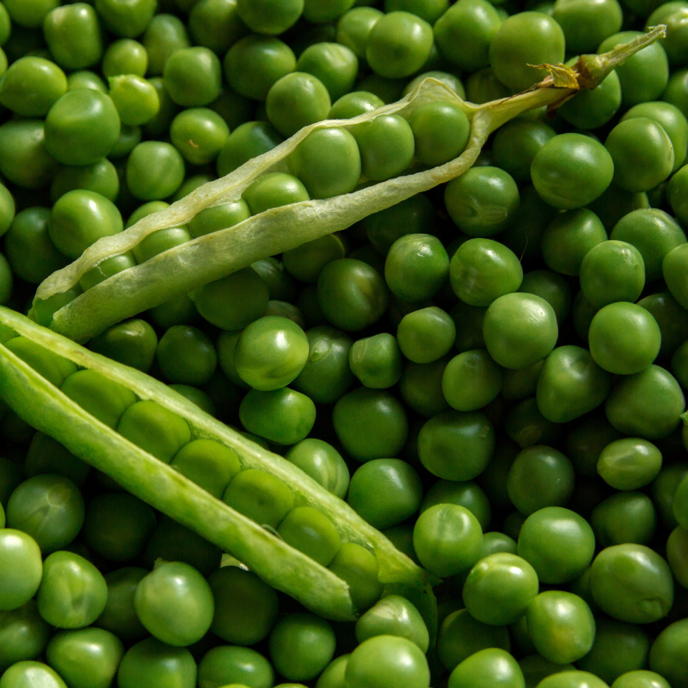 20 Super Sugar Snap Pea Seeds for Planting, Non-GMO, High-Yield, Sweet Edible Vegetable Seeds for Backyard Gardening