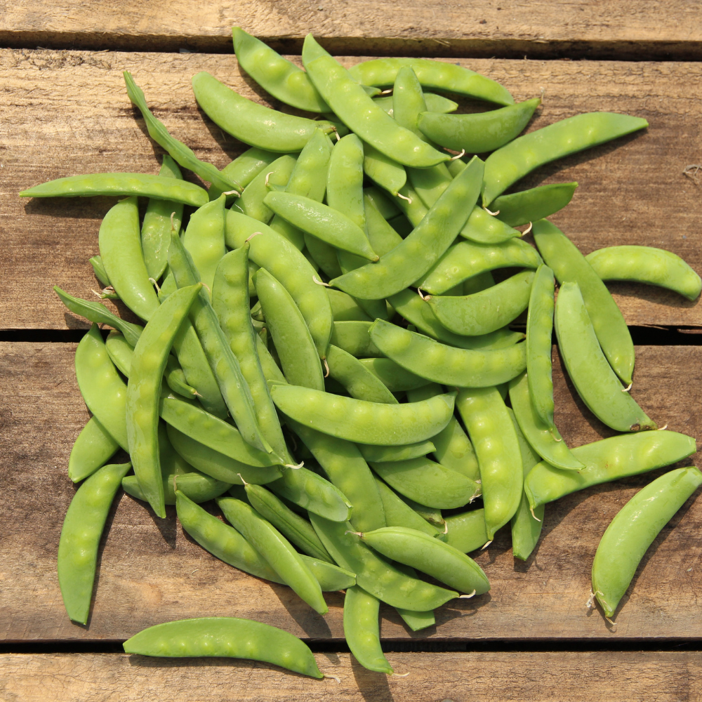 40 Super Sugar Snap Pea Seeds, Non-GMO, Fast Growing, Edible Vegetable Seeds for Home Gardens
