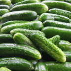 150 Boston Pickling Cucumber Seeds, Non-GMO, Heirloom, Easy to Grow, Crispy Sweet Cucumber Vegetable Seeds for Garden Trellis