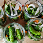 50 Pcs Boston Pickling Cucumber Seeds, Non-GMO, Crispy Sweet Cucumber Vegetable Seeds, Fast Growing Summer Crop for Garden Trellis