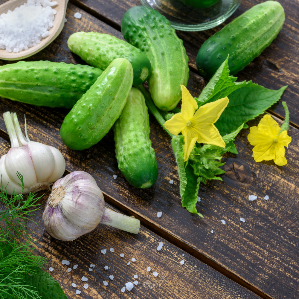 150 Boston Pickling Cucumber Seeds, Non-GMO, Heirloom, Easy to Grow, Crispy Sweet Cucumber Vegetable Seeds for Garden Trellis