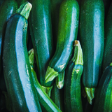 75 Dark Green Zucchini Seeds, Non GMO, Heirloom, Easy to Grow, Sweet & Tender Emerald Zucchini for Home Gardening