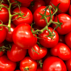 50 Large Red Cherry Tomato Seeds, Non-GMO Solanum Lycopersicum Seeds, Fast Growing, High-Yield Sweet Ruby Red Clusters, for Outdoor Planting