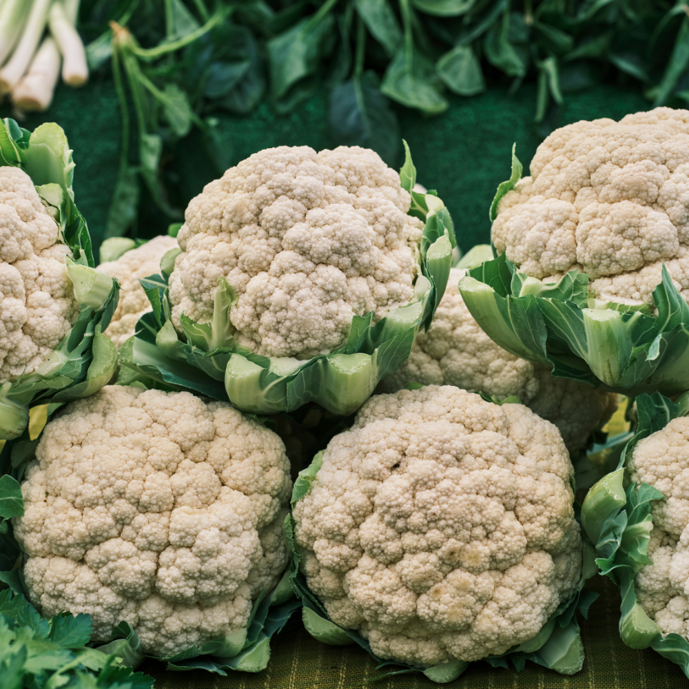 450 Snowball Cauliflower Seeds, Heirloom, Improved Self-Blanching White Cauliflower, High-Yielding Vegetable Seeds for Gardeners