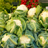 300 Snowball Y Improved Cauliflower Seeds, Non GMO, High Yield, Easy to Grow, White Crisp Heads with Self-Blanching Leaves, for Outdoor Planting