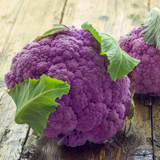300 Purple Cauliflower Seeds, Non-GMO Brassica oleracea Seeds, High-Yielding, Vibrant Royal Purple Head, Heirloom Vegetable Seeds for Garden