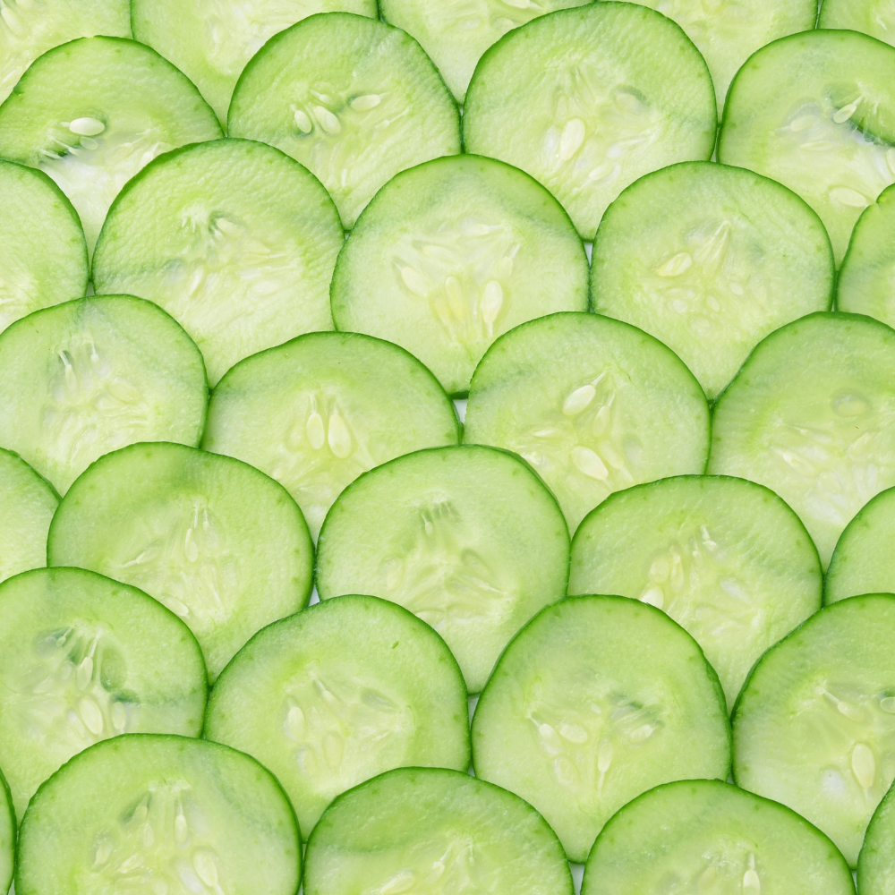 50 Tendergreen Burpless Cucumber Seeds, Non-GMO, Crispy Sweet Cucumber Vegetable Seeds, Fast Growing Summer Crop for Garden Trellis