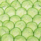 50 Tendergreen Burpless Cucumber Seeds, Non-GMO, Crispy Sweet Cucumber Vegetable Seeds, Fast Growing Summer Crop for Garden Trellis
