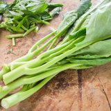 Chinese Broccoli Seeds for Planting - Kailaan, 300 Pcs, Non GMO, Heirloom, Easy to Grow Vegetables Seeds for Outdoor Gardens