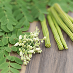 Moringa Tree Live Plant, 4-5 Inch Tall, Hardy, Easy Care, Fast Growing Drumstick Tree, Ideal for Home Gardening & Raised Beds