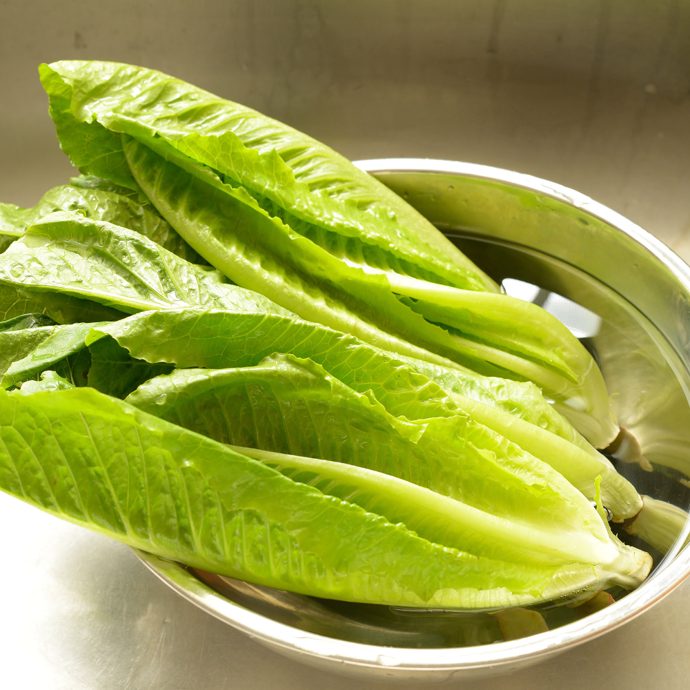 1500 Romaine Lettuce Seeds - Parris Island Cos, Non GMO, Heirloom, Easy to Grow, Delicious Crisp Crunchy Greens, Ideal for Raised Beds, Containers & Gardens