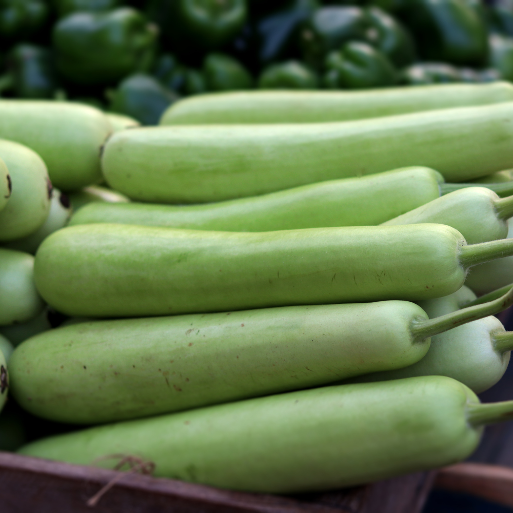 100 Bottle Gourd Seeds for Planting, Non GMO, Fast Growing Vegetable Seeds, Climbing Vine for Garden Trellis & Backyard