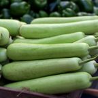 100 Bottle Gourd Seeds for Planting, Non GMO, Fast Growing Vegetable Seeds, Climbing Vine for Garden Trellis & Backyard